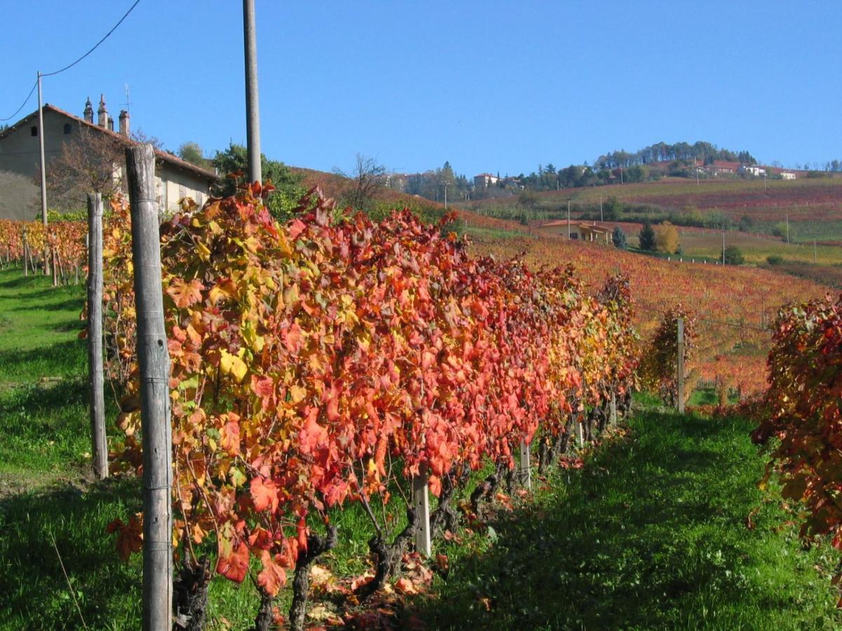 Agriturismo Il Gioco Dell'Oca Barolo Eksteriør bilde